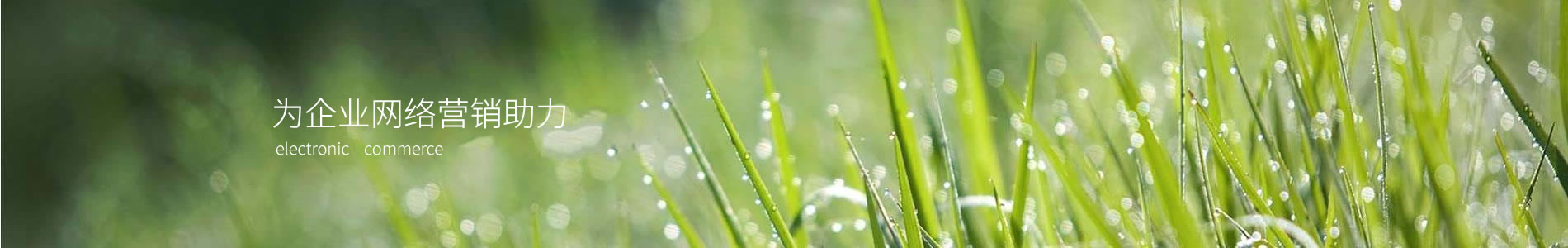 пƽ޹˾